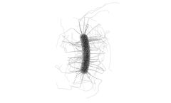 Lumen - Biologic Drug for C. difficile Colitis