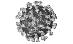 Lumen - Biologic Drug for Covid-19