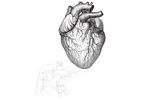 Lumen - Biologic Drug for Metabolic Disease