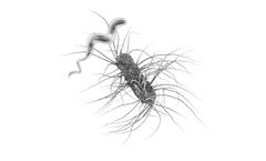 Lumen - Biologic Drug for Traveler’s Diarrhea