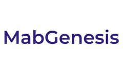 Phage Display Antibody Library Synthesis Technology and Isolation Technology