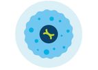 Cell Line and Vector Development Services