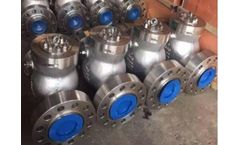 SVR Global - Swing Check Valve Manufacturer in USA