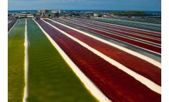 BioAstin Hawaiian Astaxanthin - Natural Microalgae Haematococcus Pluvialis