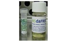 AvantBio - Model HKSdaFREE + HKGE - Human Oral Epithelial Cells (Gingival)