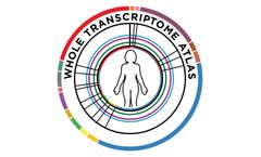 GeoMx - Human Whole Transcriptome Atlas RNA Assay