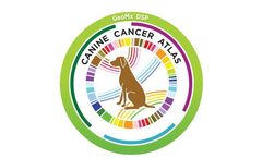 NanoString - Model GeoMx - Canine Cancer Atlas RNA Assay