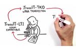 The Simplicity of Transfection - Video
