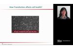 Transfection 101-Striking the Balance - Video