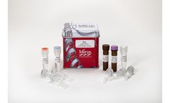 Mirus - Model Label IT - Nucleic Acid Labeling Reagents