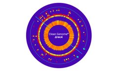 Clean Genome - Model Delta recA - E. Coli Strains