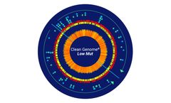 Clean Genome LowMut - E. Coli Strains