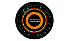 Clean Genome - Model LowMut Delta recA - E. Coli Strains