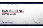 BellBrook Labs Transcreener ADP Kinase Assay Set Up - Video