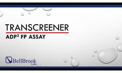BellBrook Labs Transcreener ADP Kinase Assay Set Up - Video