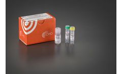 TurboLyse - Model C - 1 ml Cell Culture Protease Mix Kit