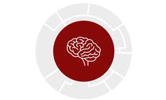 lifespin - Biomarker Panel in Cerebo Spinal Fluid (CSF)