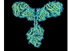 Lys - Model Glunomab / Glunozumab - Monoclonal Antibody