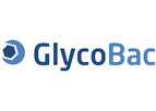 GlycoBac - Model pIE1HRX, pIE1HRX-Neo and pIE1HRX-Hygro - Expression Plasmids Cells