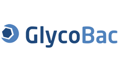 GlycoBac - Model pIE1HRX, pIE1HRX-Neo and pIE1HRX-Hygro - Expression Plasmids Cells