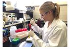 Strain Development Services