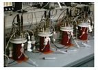 Integrated Strain & Process Development Services
