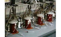 Integrated Strain & Process Development Services