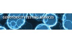 Molecular - Genotoxicity Testing Services