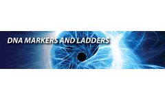 Molecular - DNA Markers and Ladders