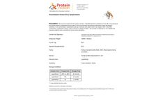 Protein Foundry - Model XCL1- PFP005 - Recombinant Human Lymphotactin Protein Cell - Brochure