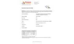 Protein Foundry - Model CCL17 - PFP007 - Recombinant Human Protein Cell - Brochure