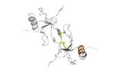 Protein-Foundry - Model CCL2 - PFP008 - Recombinant Human Protein Cell