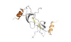 Protein-Foundry - Model CCL5 - PFP020 - Recombinant Human Protein Cell