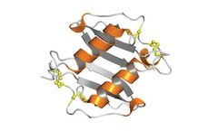 Protein-Foundry - Model CXCL2 -PFP030 - Recombinant Human Protein Cell