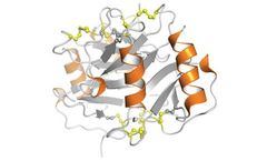 Protein-Foundry - Model CXCL4 -PFP014 - Recombinant Human Protein Cell