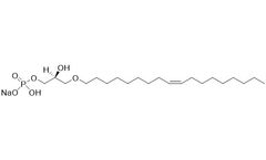Model L-0186 - (2S)-Oleyl LPA