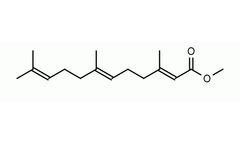 Model S-0153 - (E,E)-Methyl Farnesoate