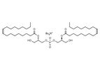 Model L-B181 - (S,S) Bisoleoyl-Lysobisphosphatidic Acid (LBPA)