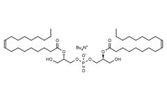 Model L-B181 - (S,S) Bisoleoyl-Lysobisphosphatidic Acid (LBPA)