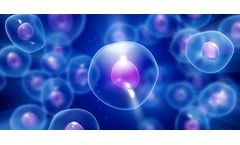 Immune Diseases