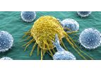 Immuno-Oncology