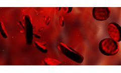 Haematology for Novel Drug Concepts for Blood Diseases