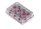 PhysioMimix - Model MPS 12 - In vitro Non-Alcoholic Steatohepatitis (NASH) Services