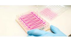 PhysioMimix - NASH-in-a-box Kit