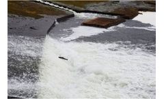 Power Aerator for Aquaculture Industry