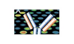 Proteome Array Screening Services