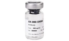 Model AB-303-AA017 - AMH mAb Antibodies