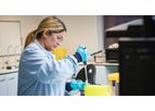 Extraction and Downstream Analysis Service