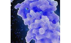 Cytokines and Growth Factors