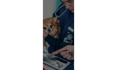 Transforming radiology solutions for veterinary industry
